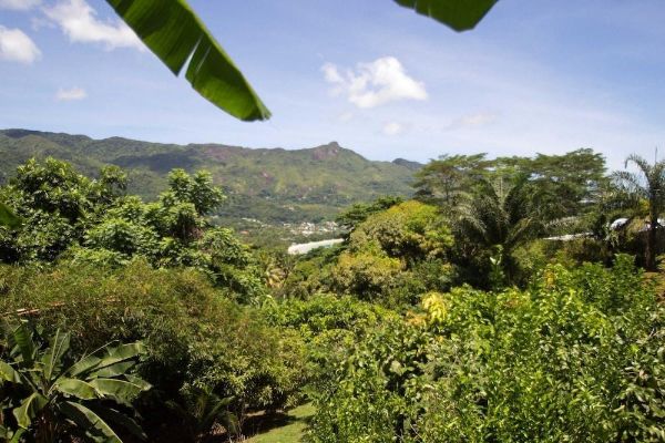 Lemongrass Lodge (Beau Vallon)